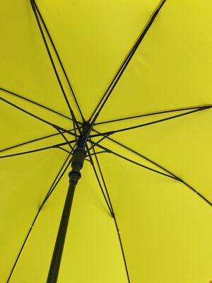 190T पोंजी फ़ैब्रिक गोल्फ़ छाते, जिनमें मेटल और फ़ाइबरग्लास की पसलियाँ हैं, कस्टमाइज़्ड डिज़ाइन, गोल्फ़ कोर्स और मार्केटिंग के लिए आदर्श